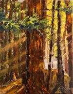 Original Painting of Redwood Trees